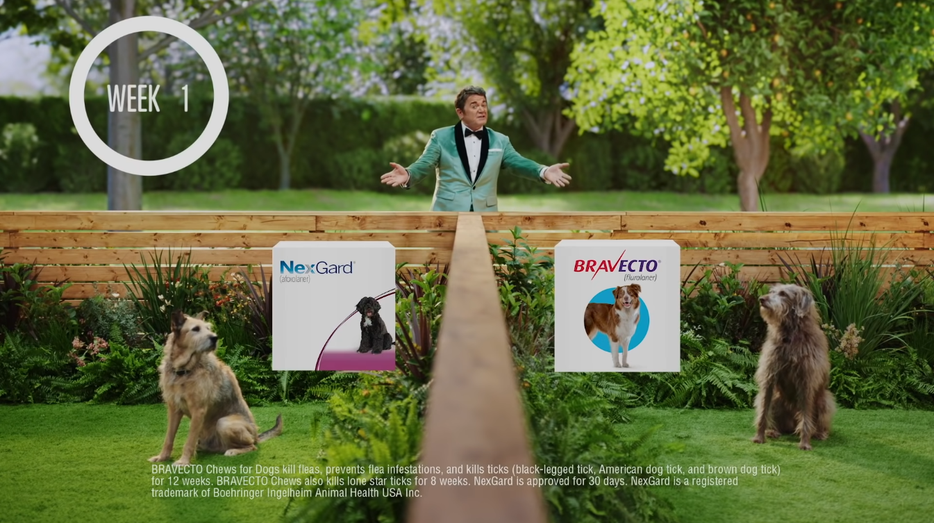 Bravecto
