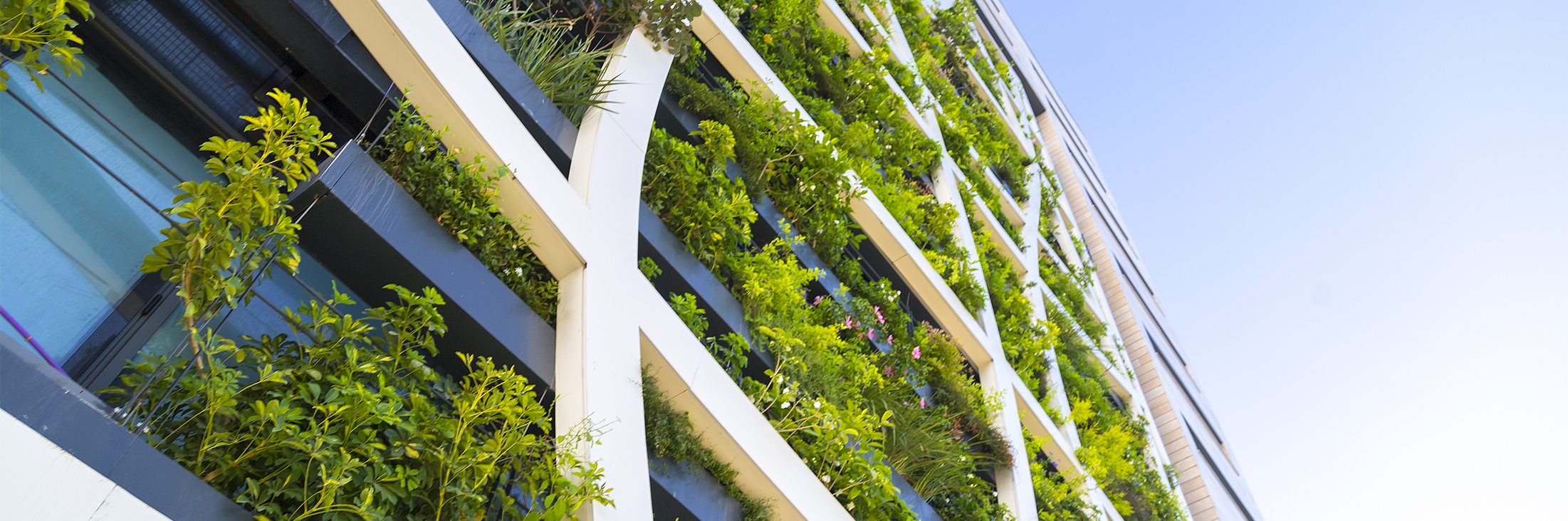 Detail from a living wall
