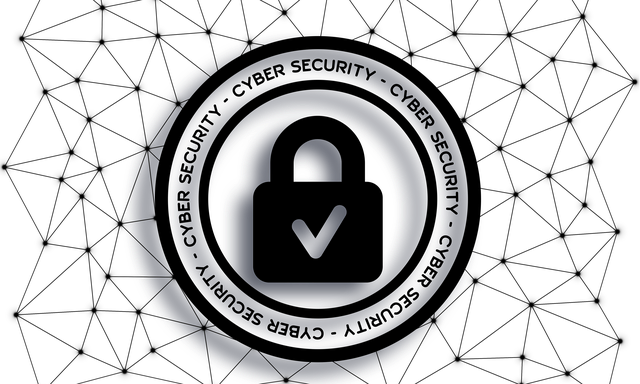 cyber-security-4498009_640