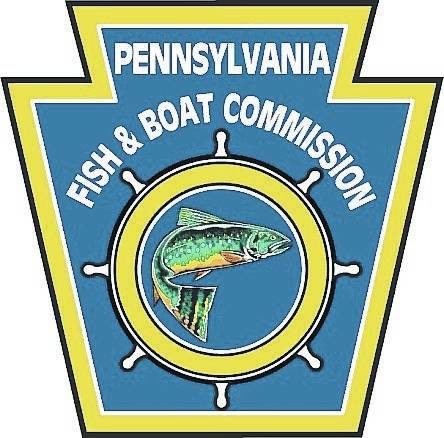 A8704911