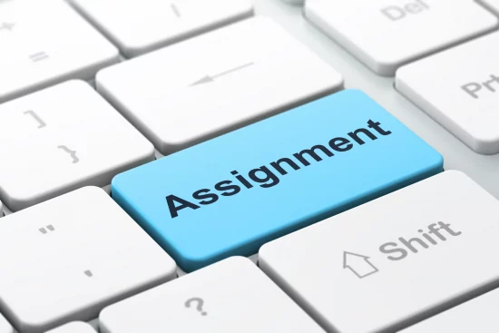 Assignment