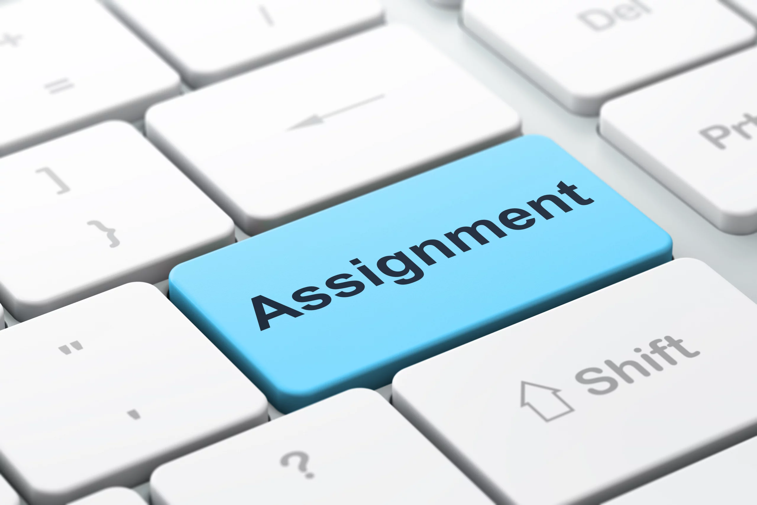 Assignment