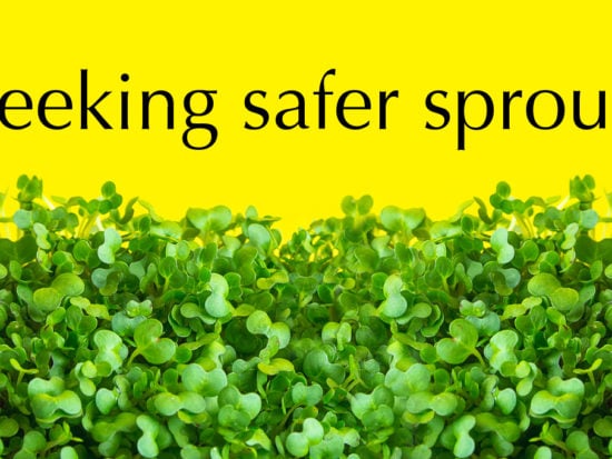seeking safer sprouts