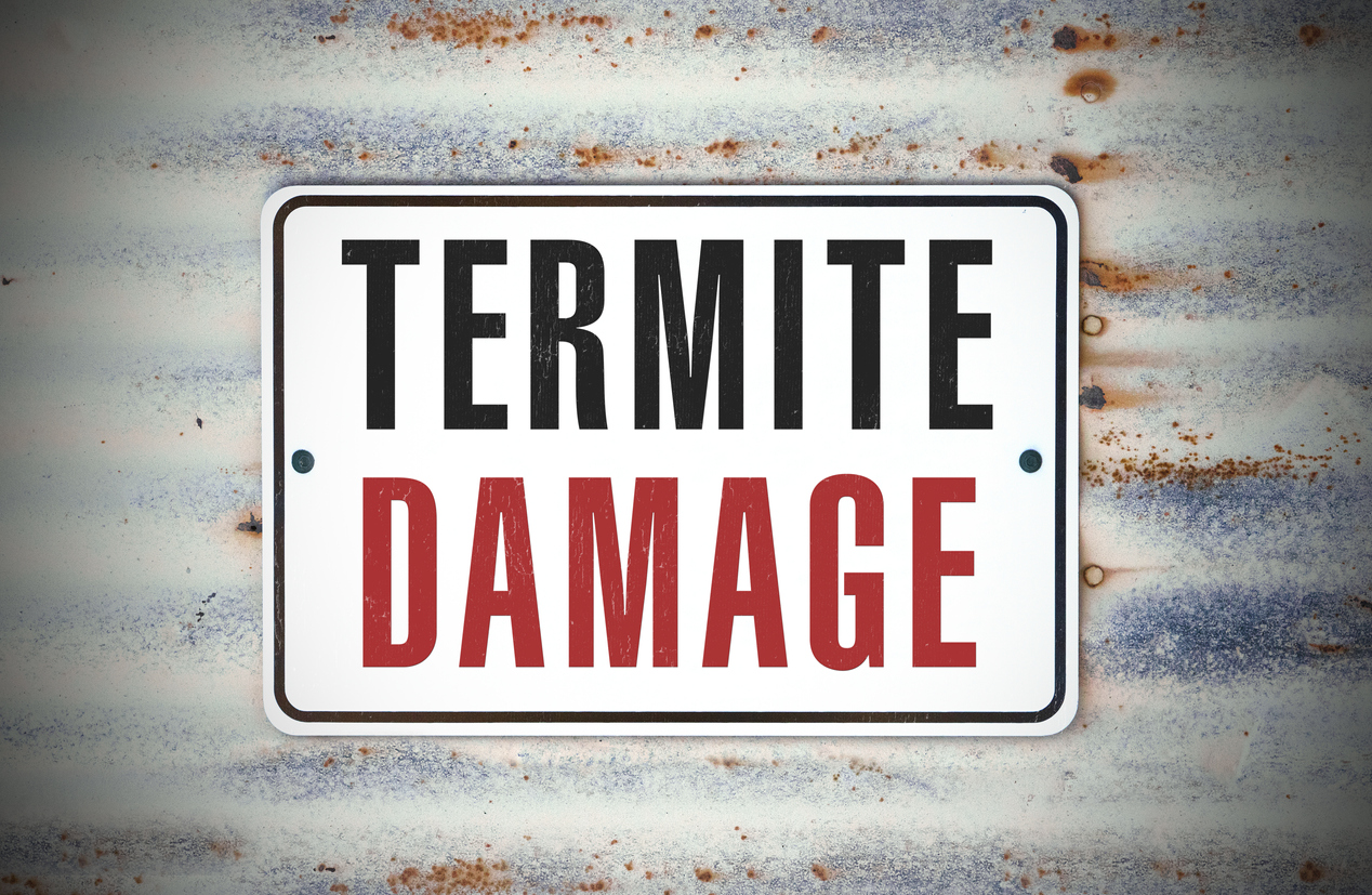 Termite Damage