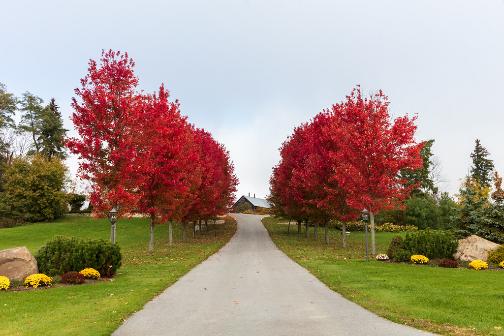 Sacramento-prescriptive-easement-attorney
