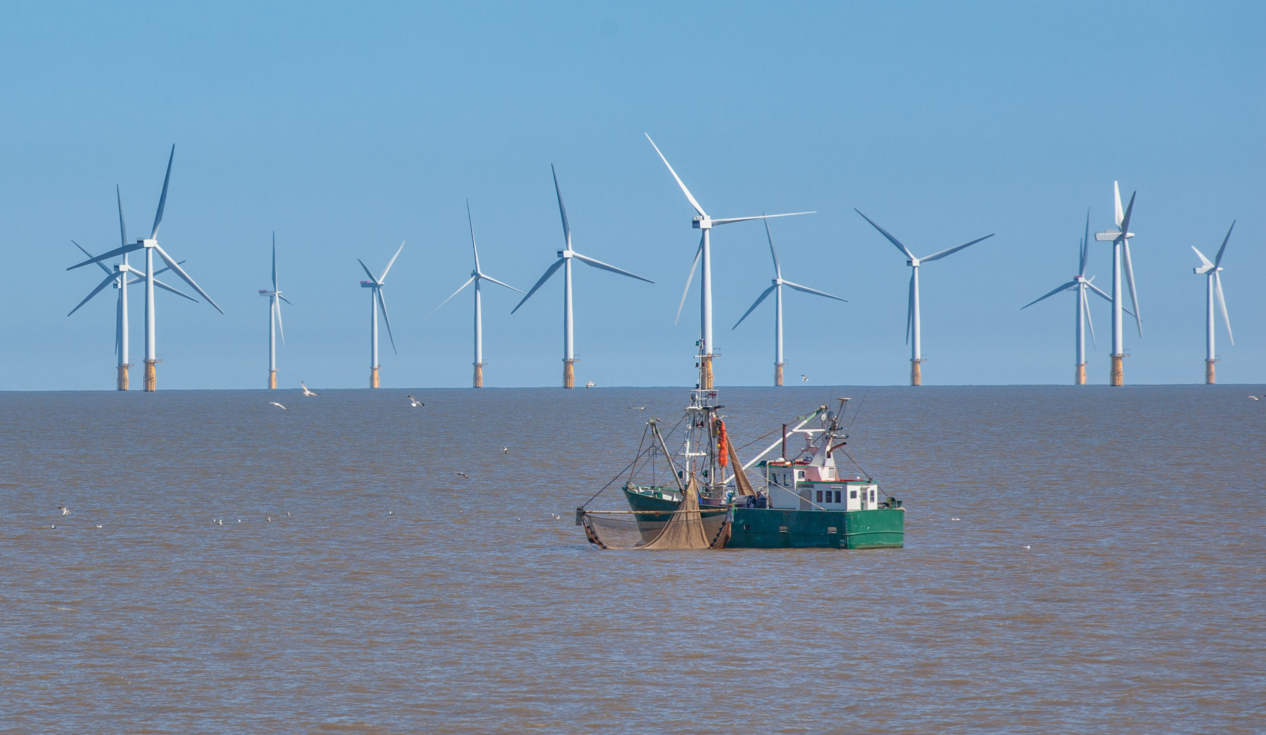 Offshore Wind Turbine and Fishing