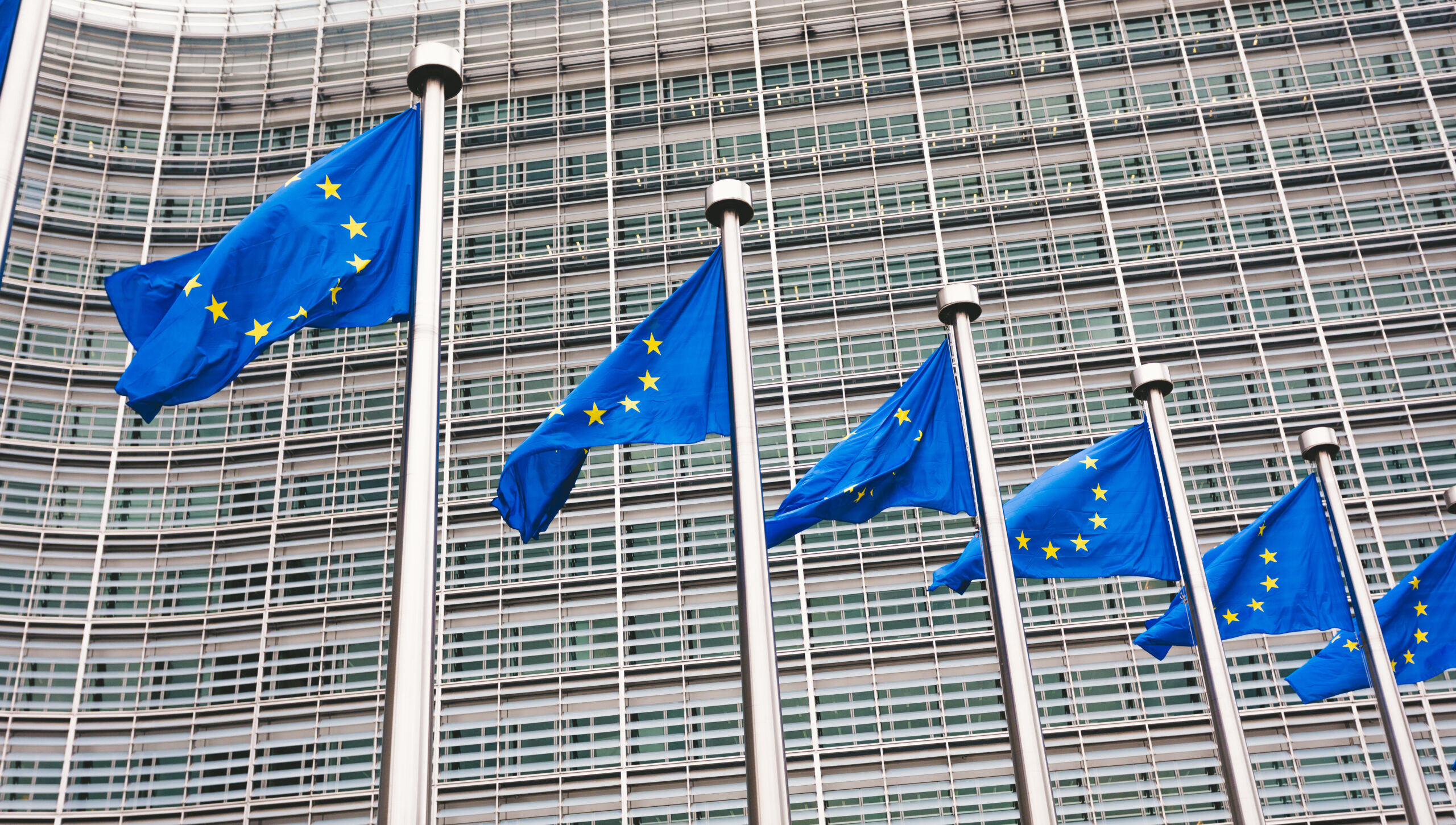 The,Queue,Of,Steeples,With,Blue,Flags,Of,The,European
