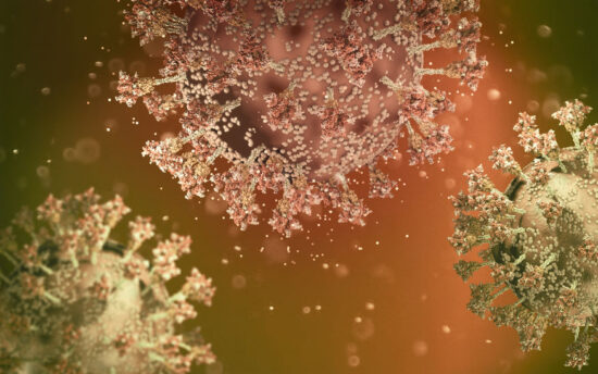 Virus