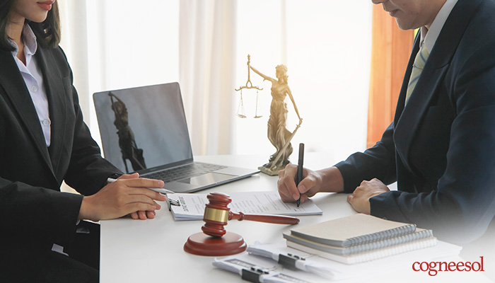 Legal Process Outsourcing