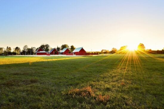 farm (A9023113)