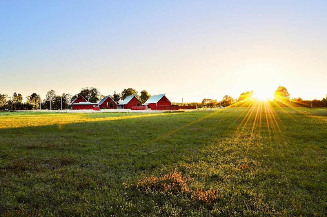 farm (A9023113)
