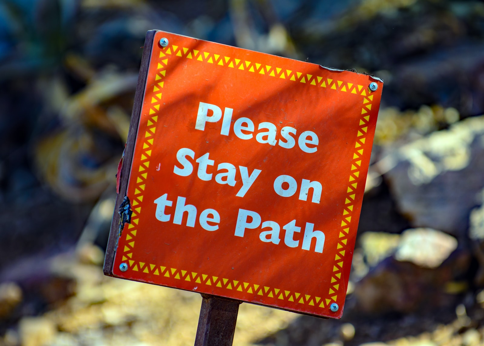 I was walking thru the zoo and saw this sign.  The angle and the color caught my eye.  It made me think about how everyone is telling us what to do.  Or the counter to that … Stay on the Path … hang in there.

Also, all of the other signs were perfectly aligned and standing straight up.  But this one sign, just this one, was a rebel.