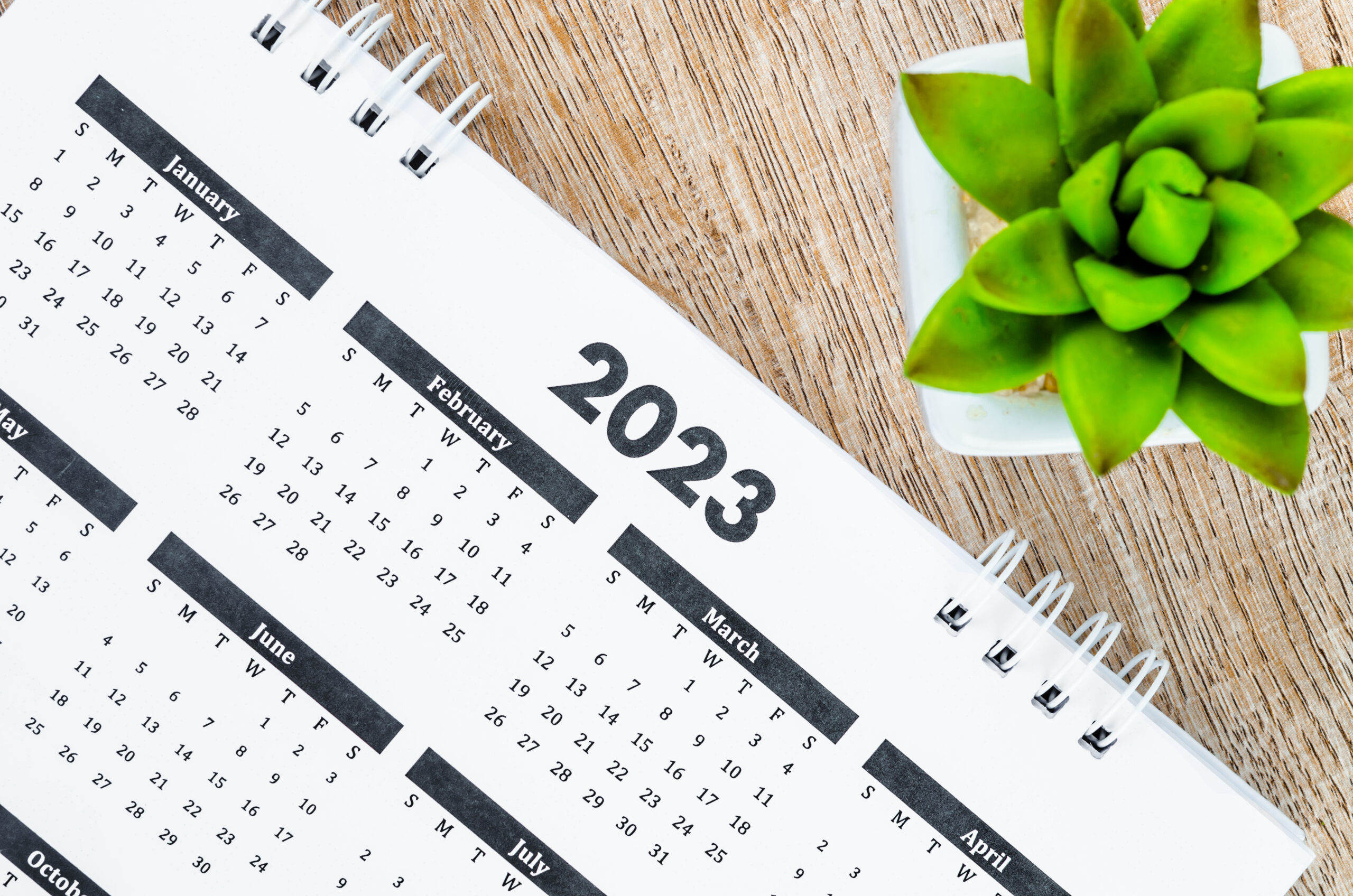 The 12 months desk calendar 2023 with pen on wooden background.