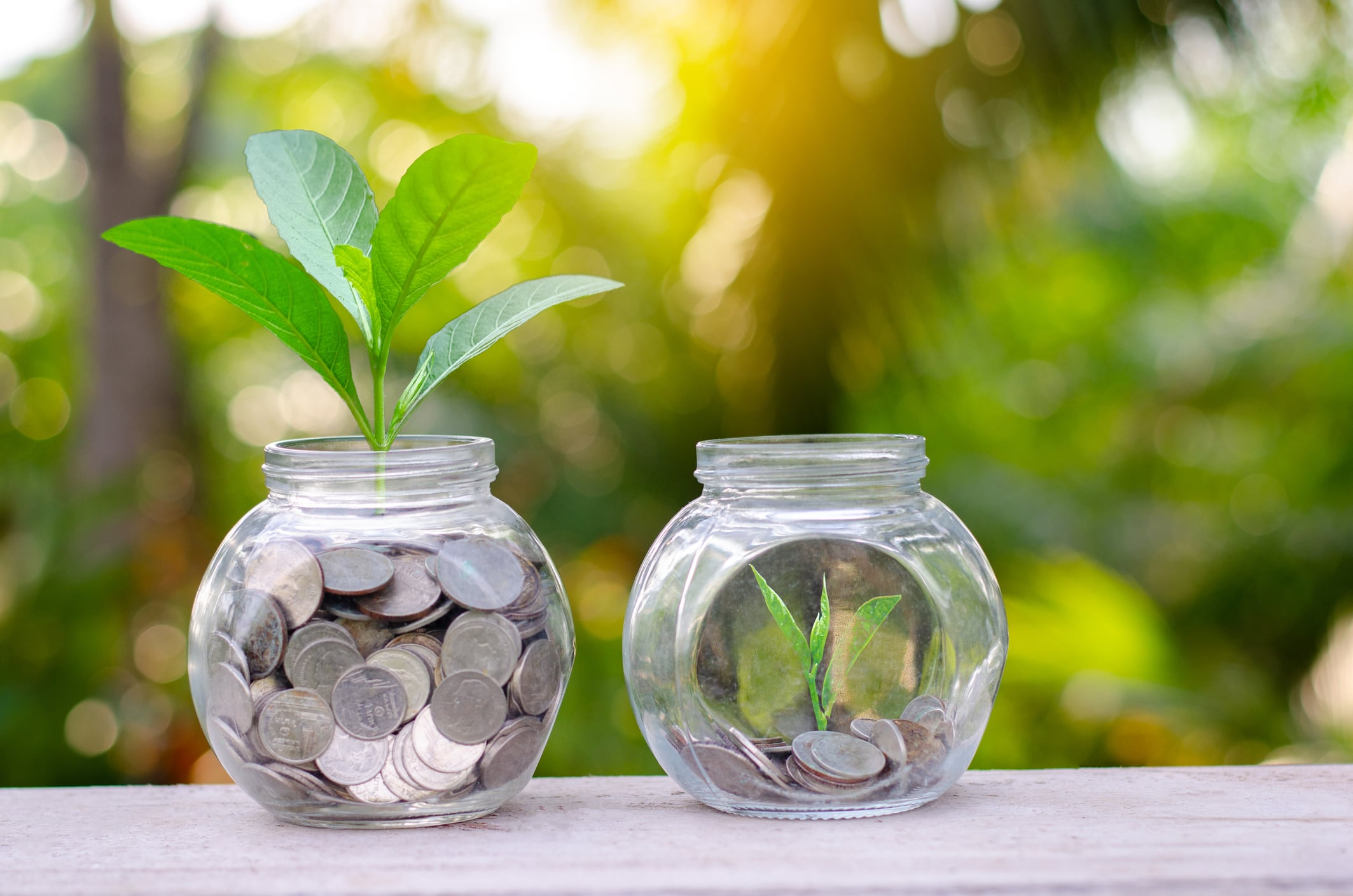 2022 Midterms and the Future of the Safe Banking Act