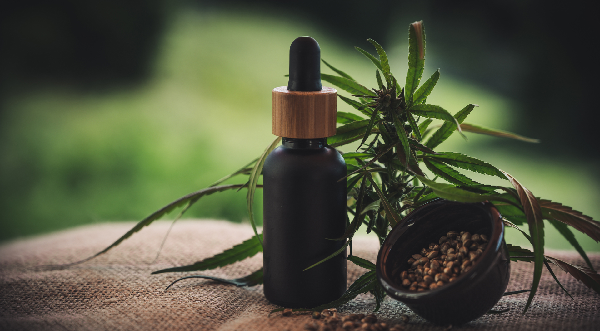 cannabis-industry