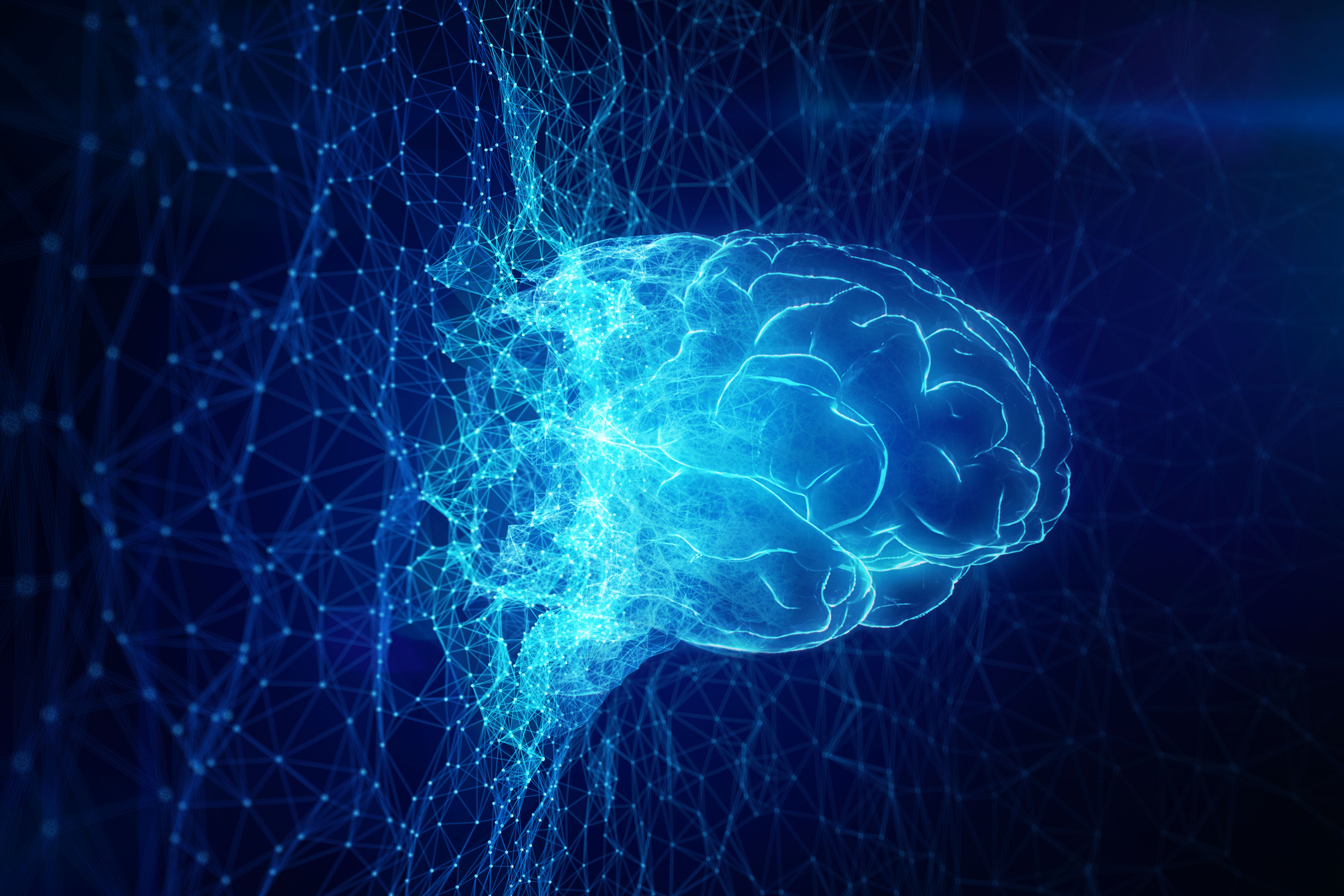 Accountable AI Systems through Risk Management: NIST Creates Inaugural Framework with Principles and Playbook