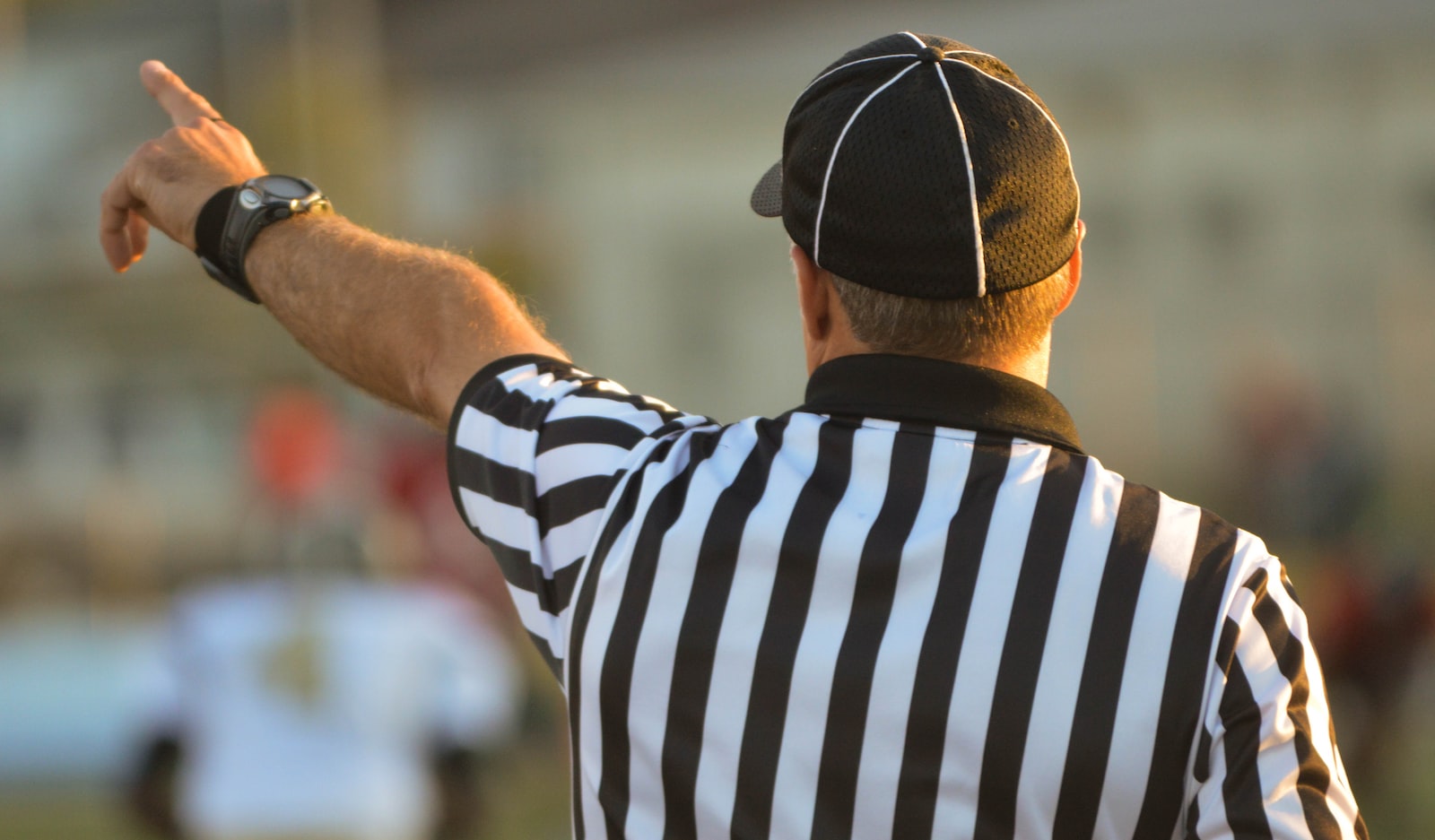 macro view of a referee