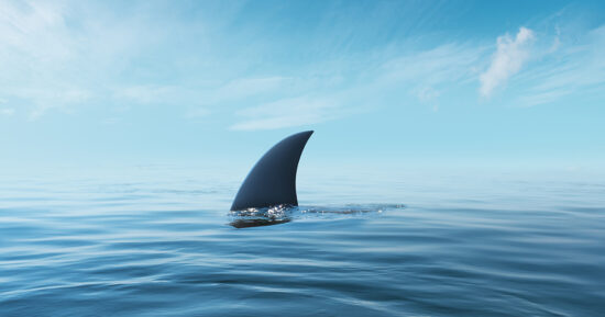 shark fin on surface of ocean agains blue cloudy sky
