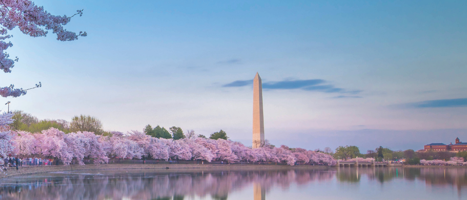 Universal Image, Washington DC