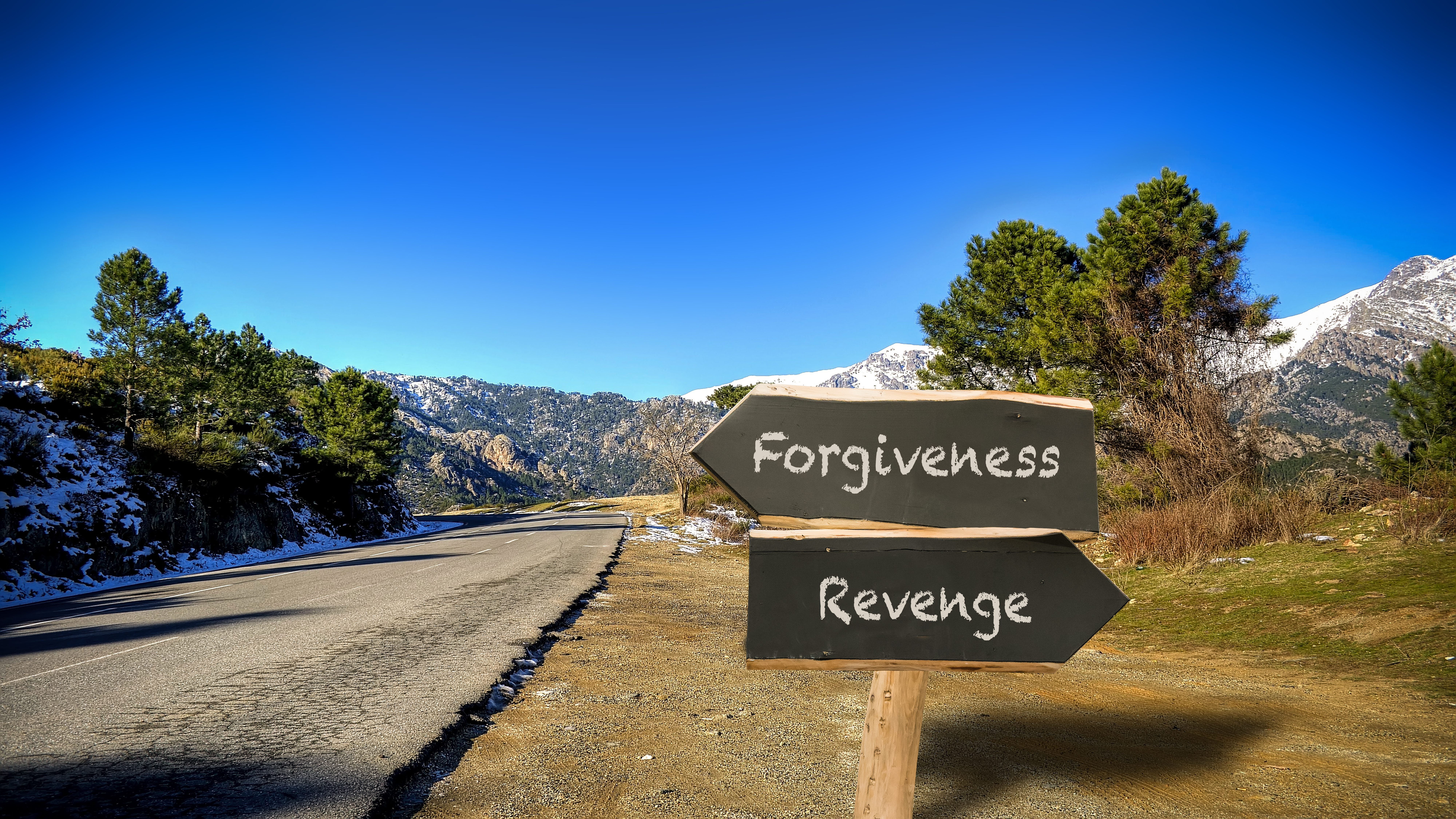 Street,Sign,The,Direction,Way,To,Forgiveness,Versus,Revenge