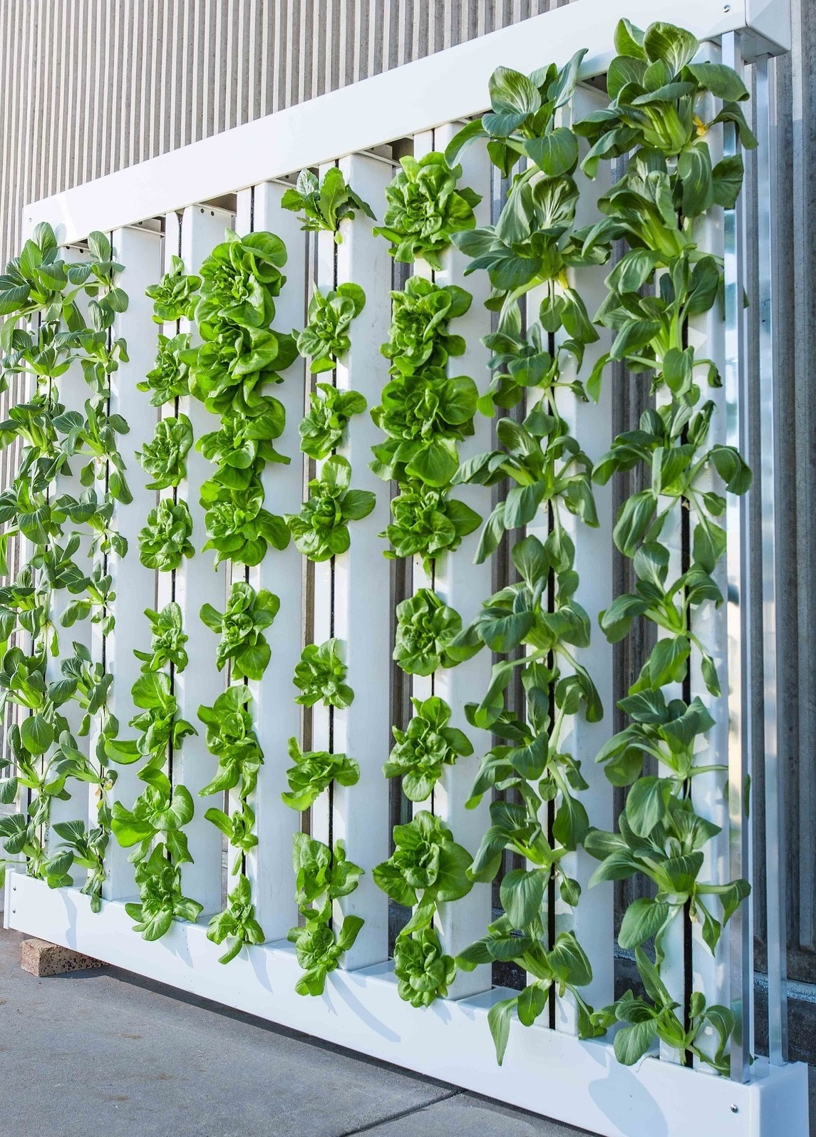 vertical-farm-g22e371789_1920