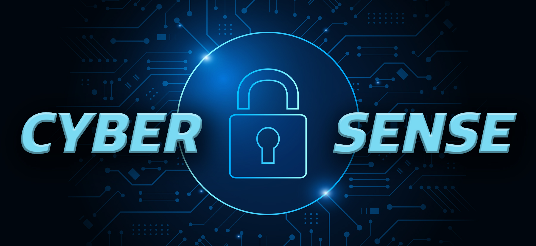 Cyber Sense OIG Blog Banner 0123