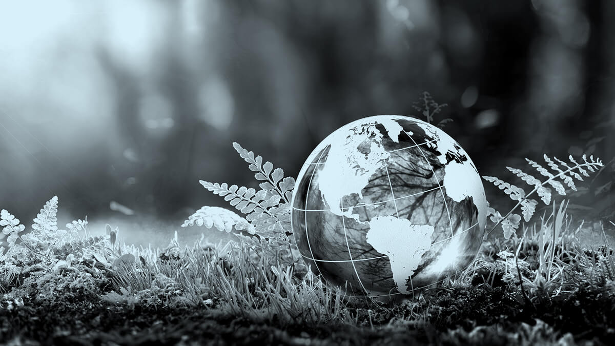 globe-on-forest-floor_1944566047-Sky-1200x675