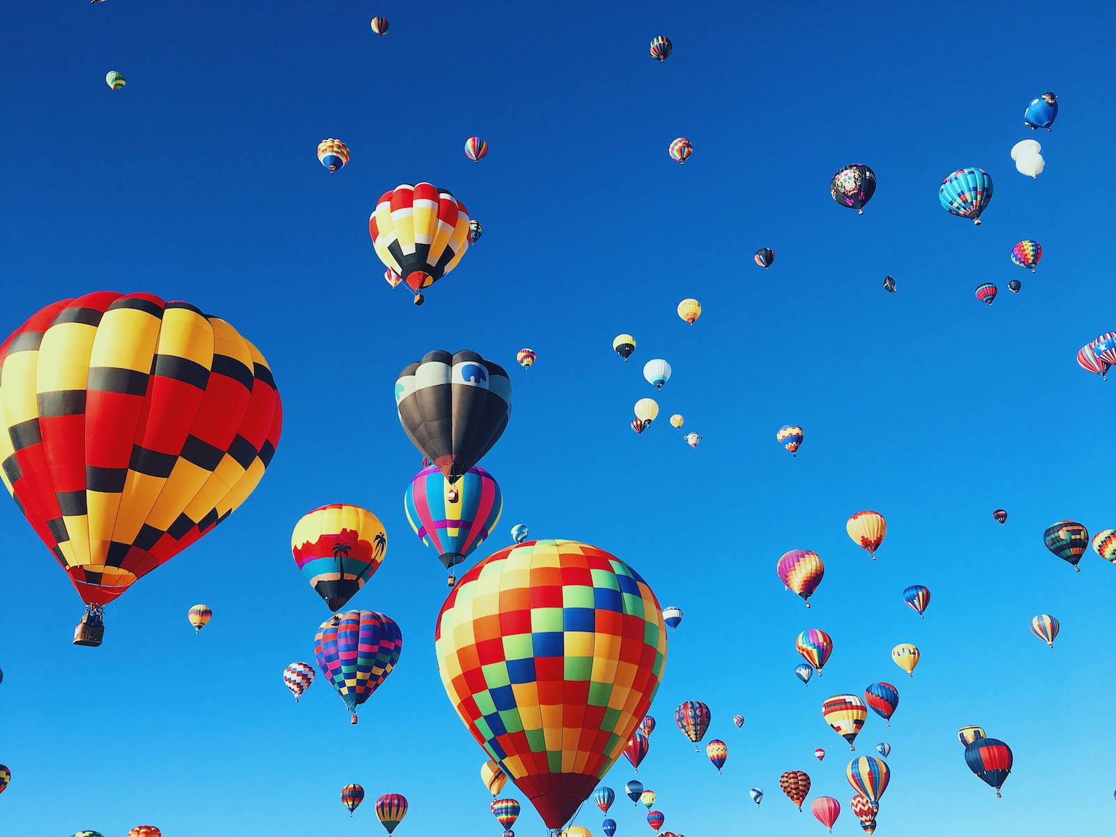 1682455108-8804-4202-lxb_photoxyXcGADvAwElxb_photo-