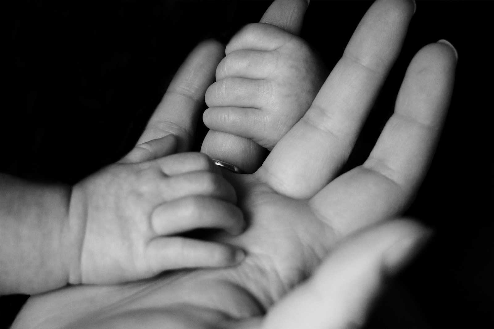 1682733757-8813-2683-lxb_photoM0oVPGsWk1Elxb_photo-