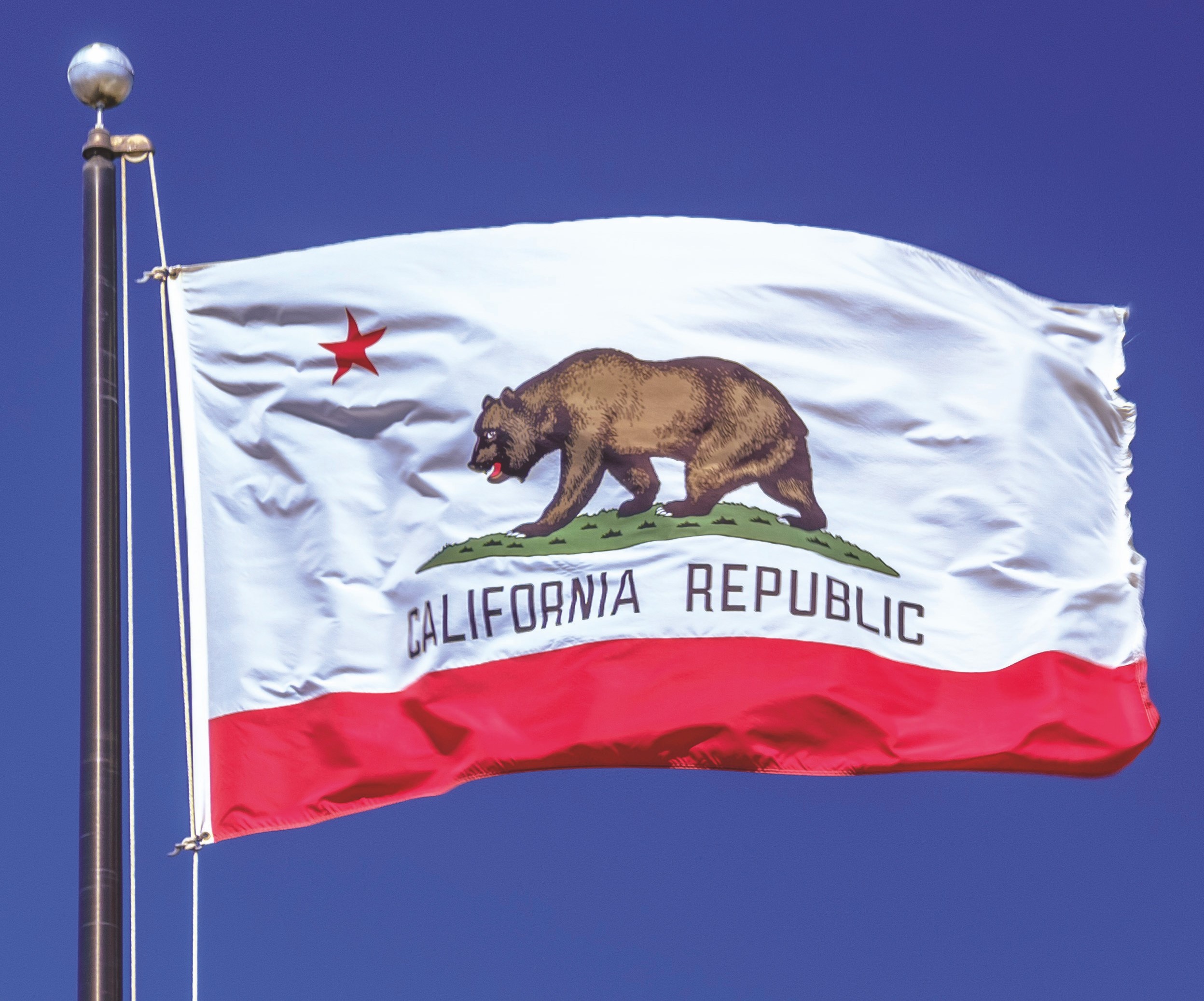 CA Flag
