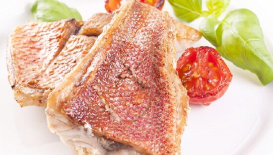 dreamstime_red snapper steak ciguatera ciguatoxin