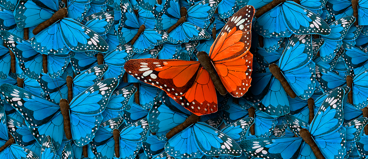iStock-804655092