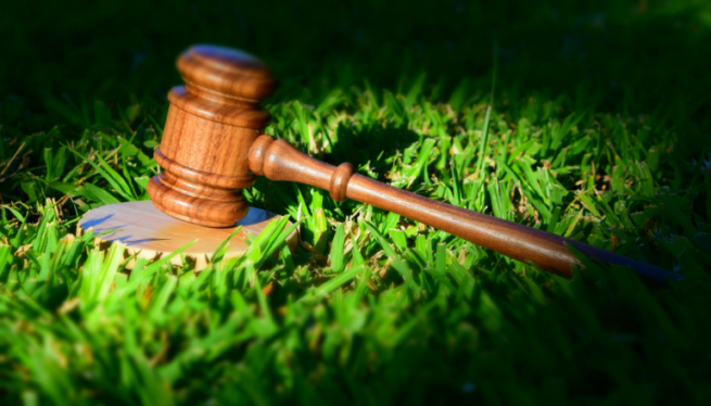 What is the Cost of Environmental Breaches? A Look at the Evolving Jurisprudence of Environmental Compensation