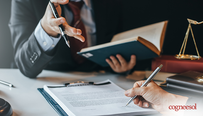 Litigation support services
