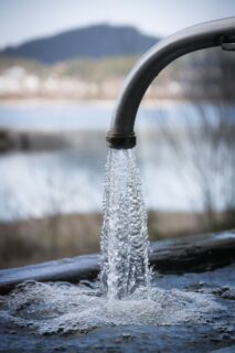 https-www-pfasinsights-com-files-2023-06-silvan-schuppisser-vkgzptligbu-unsplash-213x320-jpg