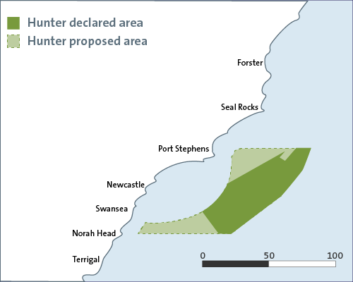 19713D graphics for insight - Offshore wind farms_static.png