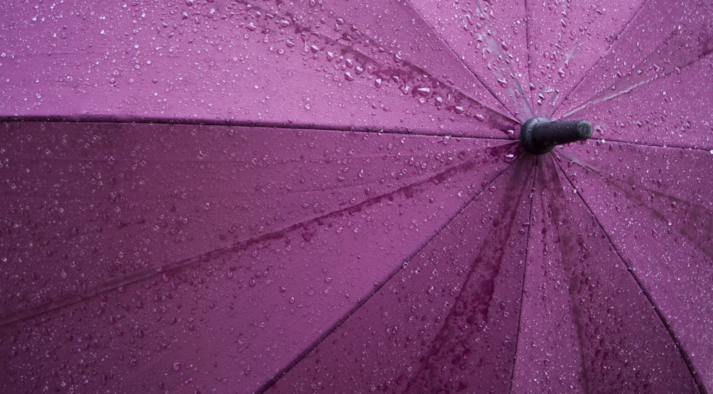 the purple umbrella with rain drops