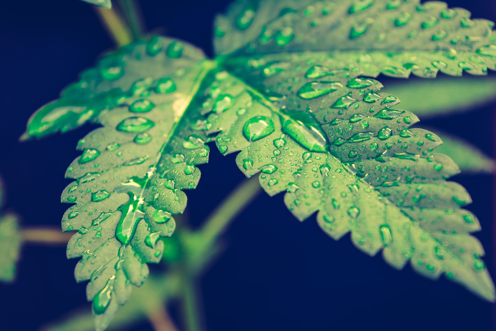 1695069133-5165-3046-lxb_photonKIsrqvC4wMlxb_photo-