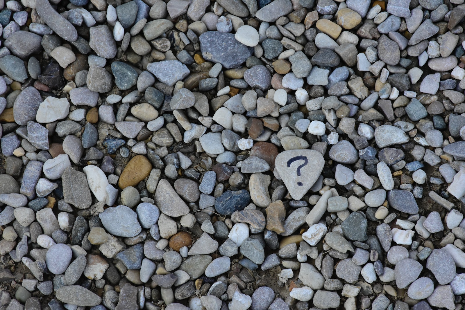 1695395180-3407-2683-lxb_photoPbzntH58GLQlxb_photo-