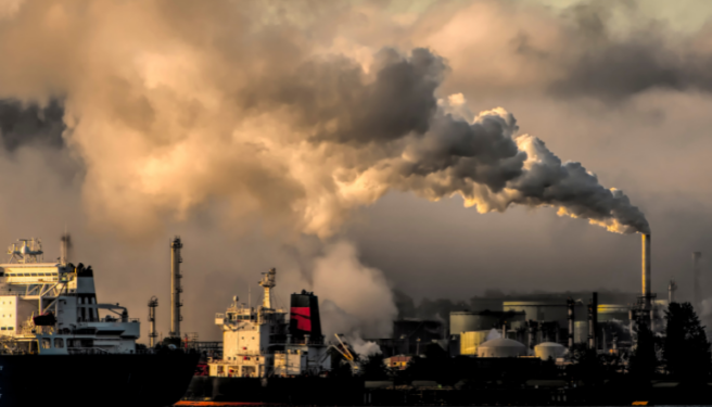 ASSAILING COMPOSITE DIRECTIONS ISSUED BY POLLUTION CONTROL BOARD UNDER AIR ACT AND WATER ACT