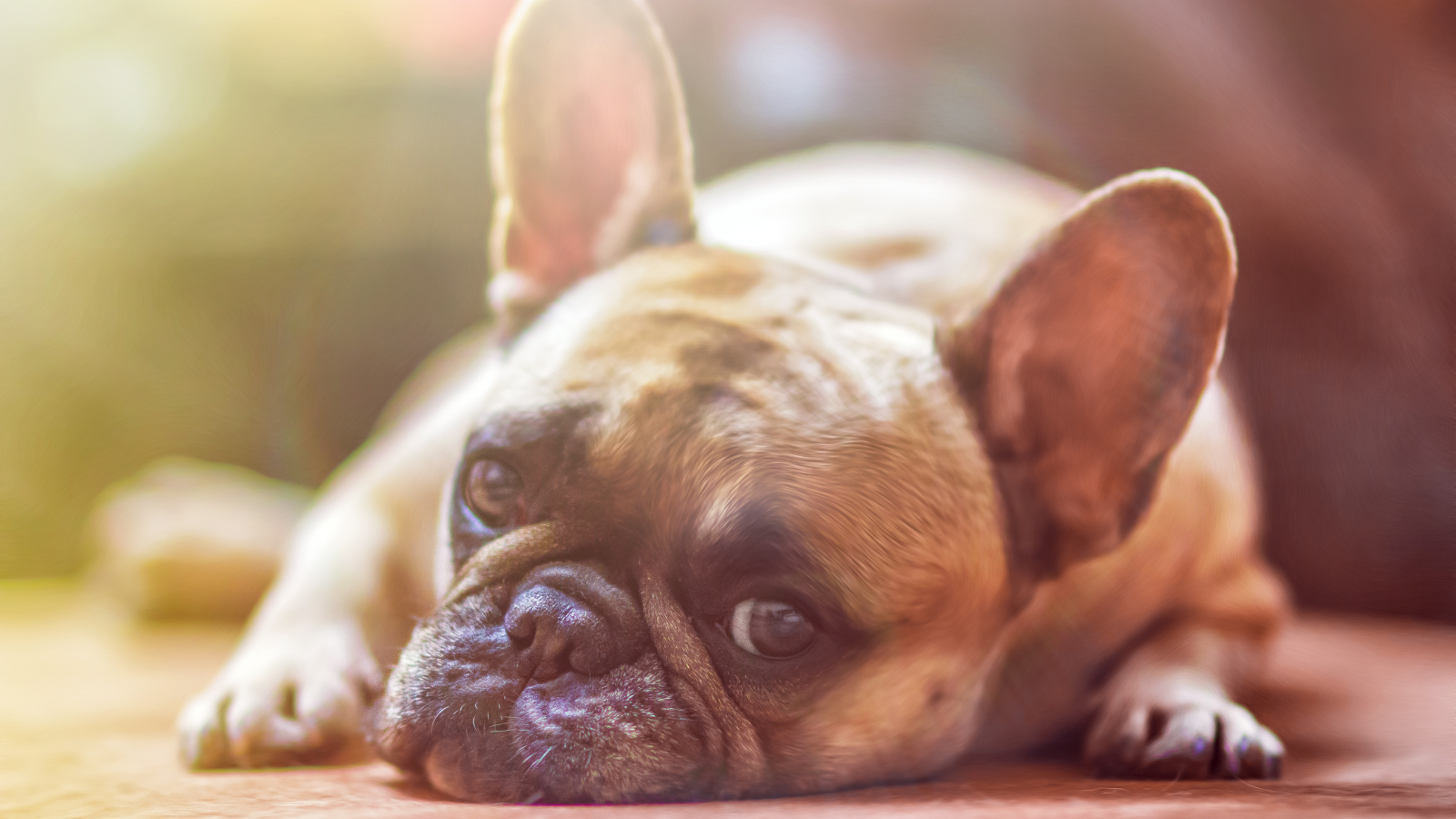 Breaking the Boredom Elevating Your Law Firm's LinkedIn Company Page Content