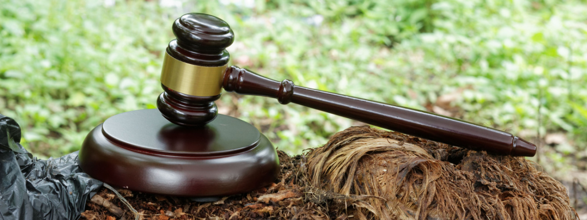 ERA gavel
