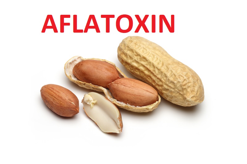 dreamstime_peanut aflatoxin RASFF USA