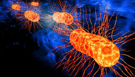 e.-coli-illustration