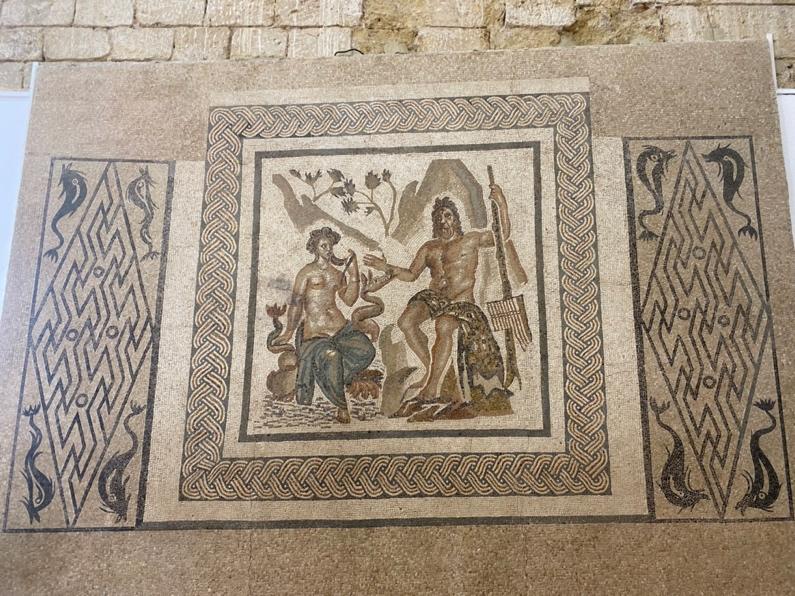 A mosaic on the floor Description automatically generated