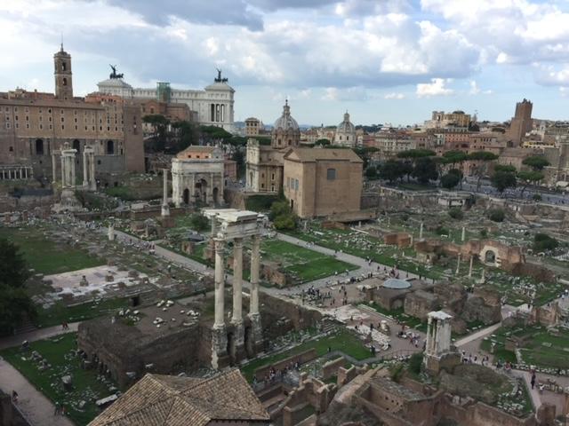 Roman Forum with many columns and grass Description automatically generated with medium confidence