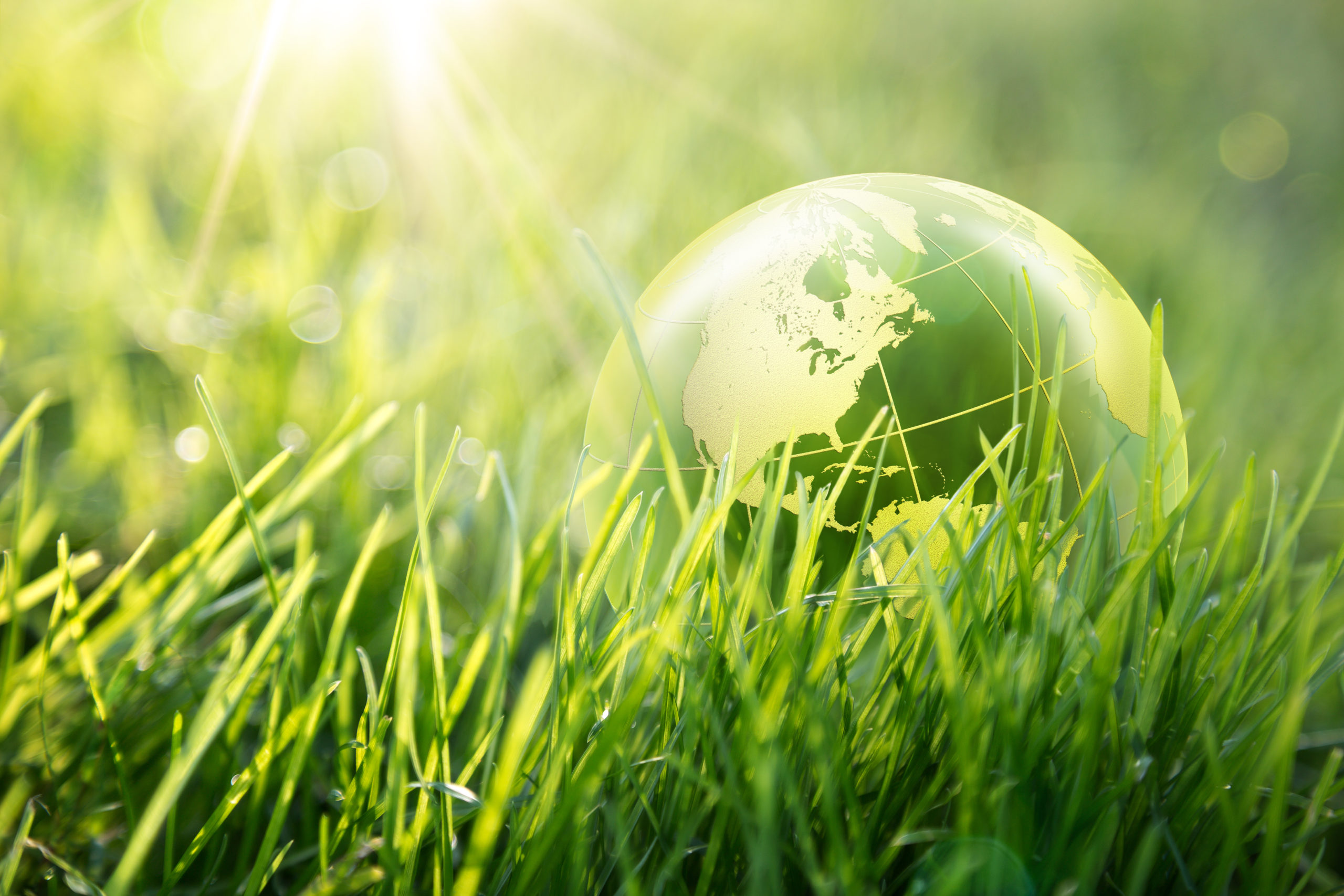Enviroment_world enviromental