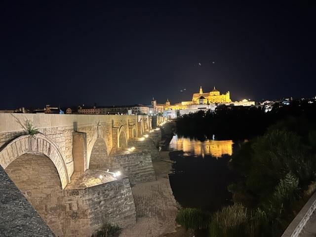 A bridge with lights on it Description automatically generated