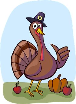turkey-1456681__340