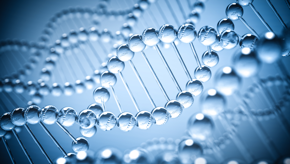 DNA